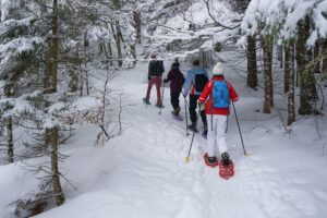 raquetas de nieve Baqueira