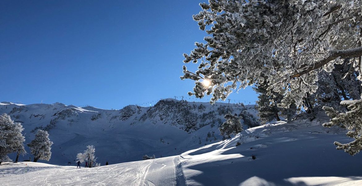 Actividades en Baqueira para el World Snow Day 2019