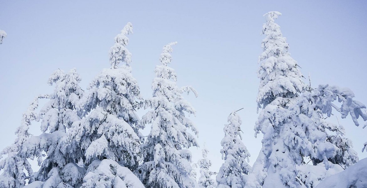 7 raisons de choisir un hôtel au pied des pistes de Baqueira