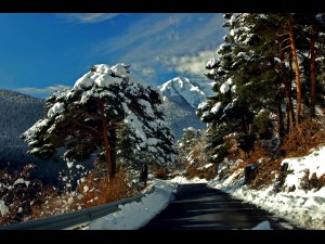 Paisaje de carretera nevado.