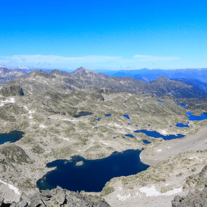circ colomers